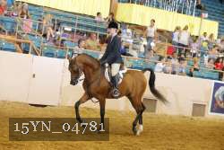 15YN_04781 thumbnail