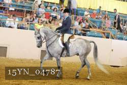 15YN_04787 thumbnail