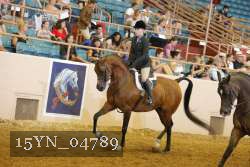 15YN_04789 thumbnail