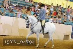 15YN_04794 thumbnail