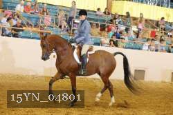 15YN_04801 thumbnail