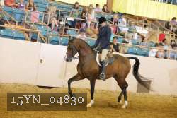 15YN_04830 thumbnail