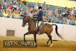 15YN_04831 thumbnail