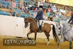 15YN_04833 thumbnail
