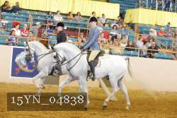 15YN_04838 thumbnail