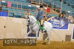 15YN_04858 thumbnail