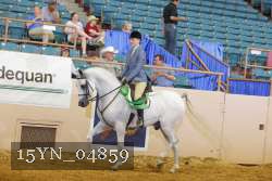 15YN_04859 thumbnail