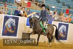 15YN_04861 thumbnail