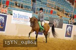 15YN_04864 thumbnail