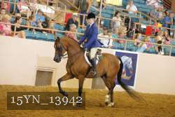 15YN_13942 thumbnail
