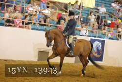 15YN_13943 thumbnail