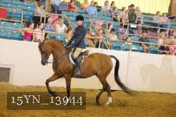 15YN_13944 thumbnail
