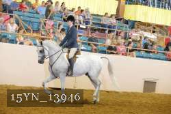 15YN_13946 thumbnail
