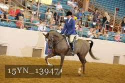 15YN_13947 thumbnail