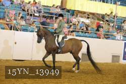 15YN_13949 thumbnail