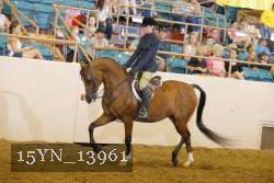 15YN_13961 thumbnail
