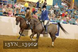 15YN_13962 thumbnail