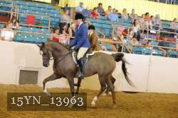 15YN_13963 thumbnail