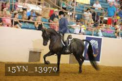 15YN_13970 thumbnail