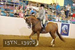 15YN_13972 thumbnail