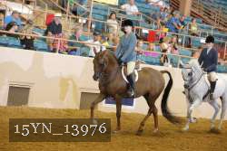 15YN_13976 thumbnail