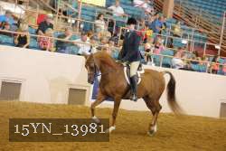 15YN_13981 thumbnail
