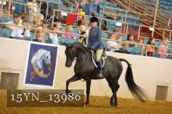 15YN_13986 thumbnail