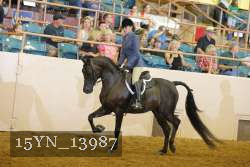 15YN_13987 thumbnail