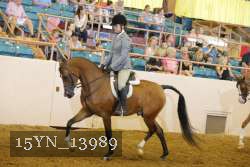 15YN_13989 thumbnail
