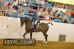 15YN_13991 thumbnail