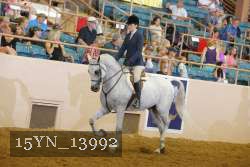 15YN_13992 thumbnail