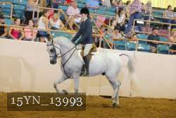 15YN_13993 thumbnail