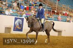 15YN_13996 thumbnail