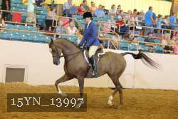 15YN_13997 thumbnail