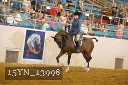 15YN_13998 thumbnail