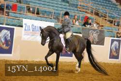 15YN_14001 thumbnail