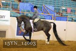 15YN_14003 thumbnail