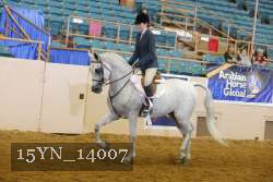 15YN_14007 thumbnail