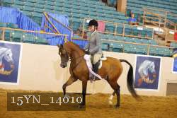 15YN_14010 thumbnail