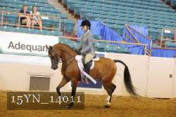 15YN_14011 thumbnail