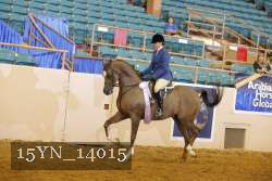 15YN_14015 thumbnail