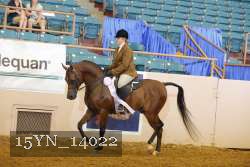 15YN_14022 thumbnail