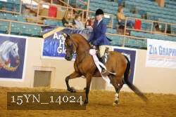15YN_14024 thumbnail