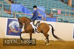 15YN_14025 thumbnail