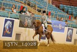 15YN_14028 thumbnail