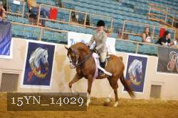 15YN_14029 thumbnail