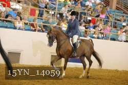 15YN_14059 thumbnail