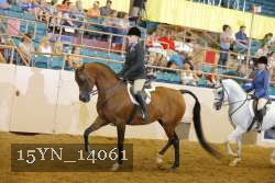 15YN_14061 thumbnail