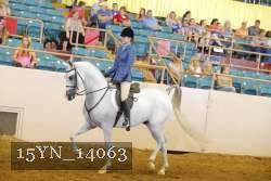 15YN_14063 thumbnail