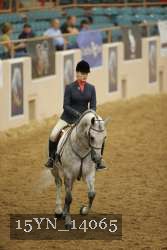 15YN_14065 thumbnail